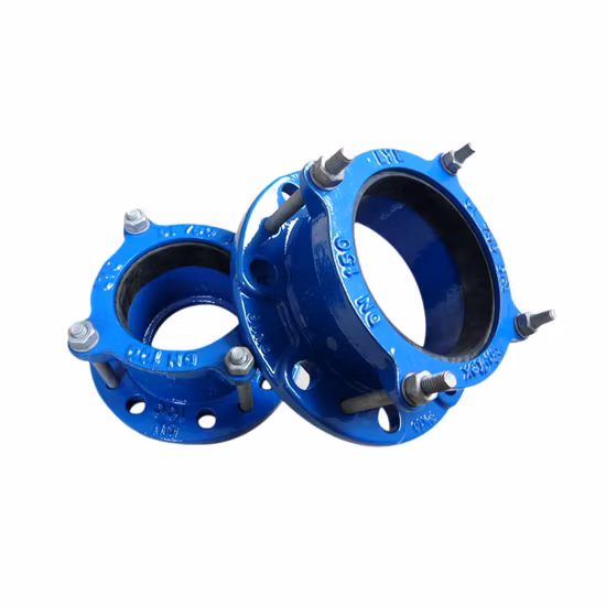 Adaptateur universel de bride en fonte ductile FR545 DN40 pour tuyau PE